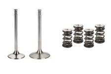 Ventile,-führung,-feder