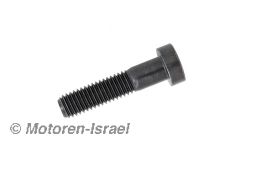 Cheese head screw M8x35 End drive Paralever