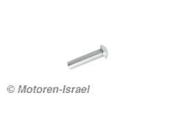 Niete 6x25 für Mitnehmer im Hinterrad ab /6