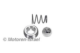Ball/spring/plug set for motor housing