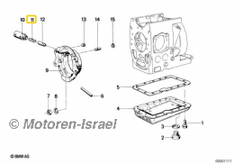 Spring for bearing shield