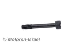 Rotor mounting bolt /5 - R100R