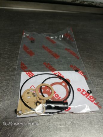 Gasket set Dellorto,all Models