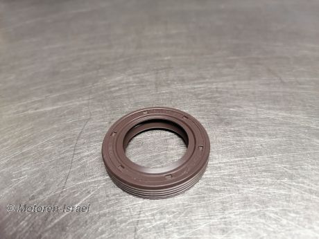 (76)shaft seal 25X40X7 BAUM3SL