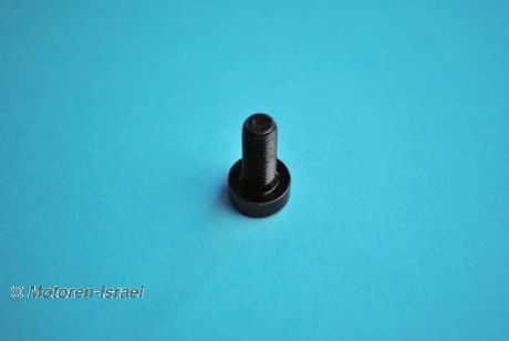 Clutch Bolt from 1981 (1pc.)