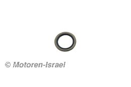 Seal ring for sliding tube R80/100GS + PD