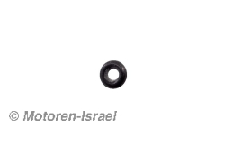 O-Ring für ATE-Bremsklötze R75/6-R100RS bis 1981