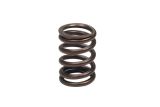 Valve spring /5 to R100R/GS