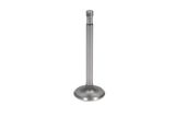Exhaust valve 32 mm R25/3 - R60/2 (kurzkonisch)