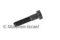 Cheese head screw M8x35 End drive Paralever