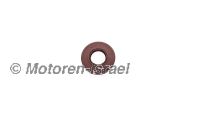 Crankshaft seal front for mounting without alternator rotor
