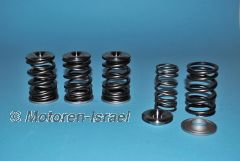 Ventilfederkit Race-Line 7mm Schaft für R45/65