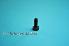 Clutch Bolt from 1981 (1pc.)
